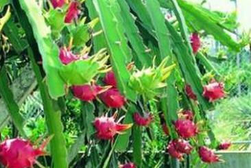 ��������ʩ��Ҫ�c(di��n)��