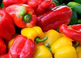 �𽷵ĿƌW(xu��)ʩ�ʷ�����B��