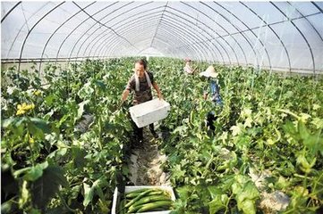 �������������u�����䑪(y��ng)ԓ��Ρ������