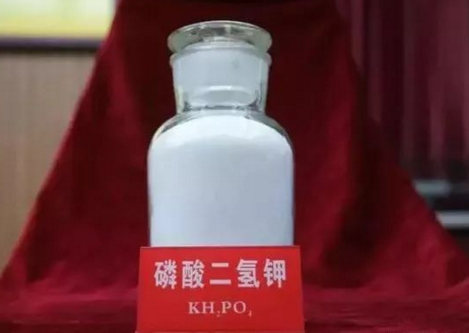 �I��������䡰�١������ǌ���������߀�����˽�