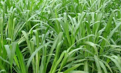 ������ôʩ���܉����a(ch��n)��