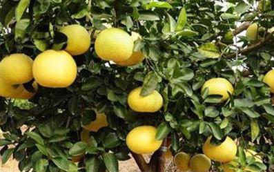 ������ôʩ�������a(ch��n)��