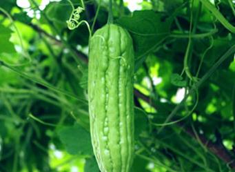 �ļ����ʩ�÷ʡ��������a(ch��n)