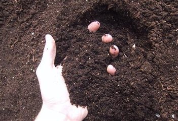 ������κ��ЙC���M�пƌW�����