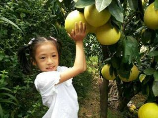 ������ôʩ�������a��