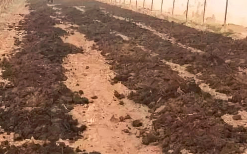 ʹ�������������ʲô��̎��