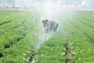 �͡��ޡ��Z����������ʩ�ʼ��g��