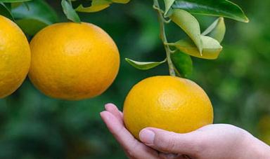 �Ș��ˮ�ʹ���Ҫ�c����Щ��