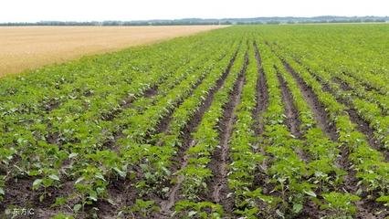 �������a�ɇ��׷�