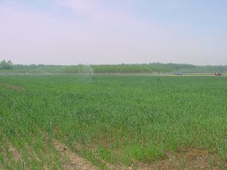 ���ⲻͬ�����ڵ����ʄӑB(t��i)��B