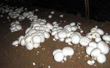 �p�߹�����׷����ע�����(xi��ng)