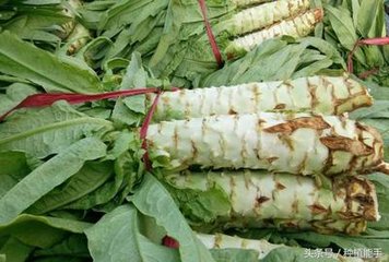 �n���������Ҫʩ��