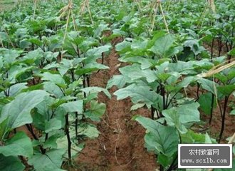 �������ڼ�ȫ���L��ʩ��Ҫ�c(di��n)