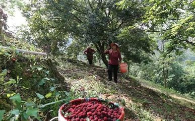 ��÷�ɹ���ʩʲô��������Щע��Ҫ�c��