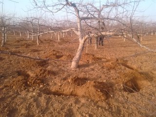 �O����ʩ�����ʩ�ʿɸ߮a �O�������ʩ��λ��