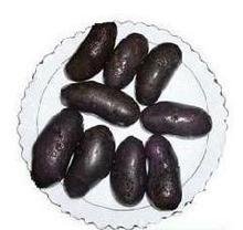 ������ʩ�ʕr�g��ʩ�ʼ��g