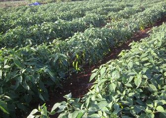 �@��ʩ���ཷ�߮a