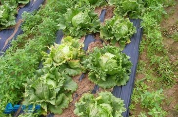 ����ʩ�ʼ��g