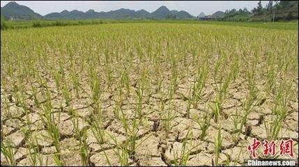 �x�÷N�ʽ���