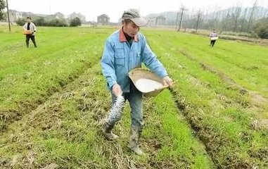 ���N����ʩ�����ҊЧ����Ч�ڕr�g��