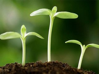 ��������A�ԣ����܁y��