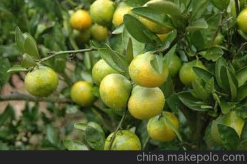 ��������ѹ� ��ע��ʩ��