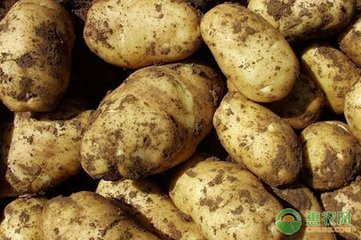 �R������ʩ�ʣ��R���ʩ�ʷ���