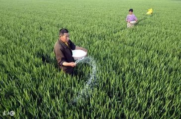 �������v�������e���ϣ���̝�ڝ�