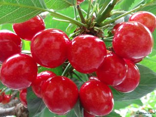 ������m�˵ķ��ϷN�����Щ