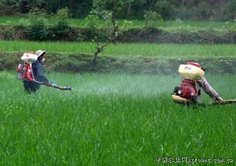 �rˎ����Խ��Խ������η�Ч�sԽ��Խ����