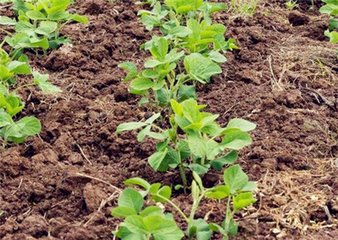 �󶹺Εrʩ����ã�