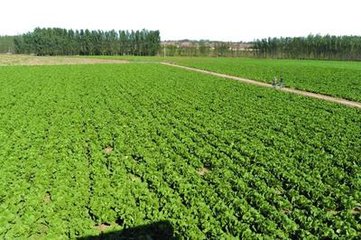 ������������9��(y��u)�c