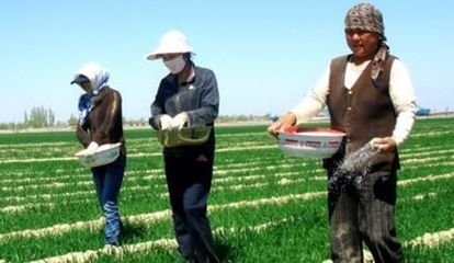 ���ϻ��ý������y�÷��Ͽɲ��ǜp�a��ô����