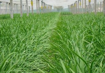 �²�ʩ��С���ɣ���Ҳ���Ó�(d��n)�ľ²��L(zh��ng)����