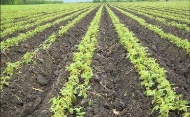 ����ʹ�õ׷ʲ����_(d��)�߮a(ch��n)���׷�ʩ�÷���