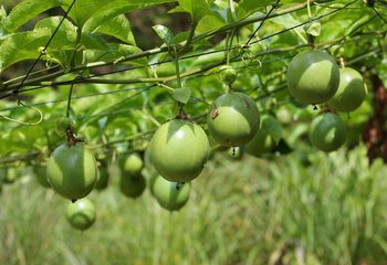 �����������������ɫ���𷽷�