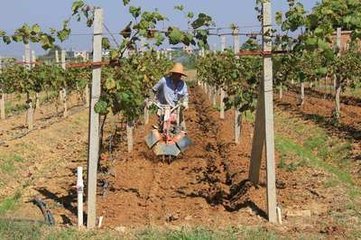 ʩ�׷ʞ�ʲôҪץס�＾���P�I�r����