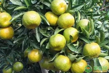 �����＾ʩ�ʵ�5���`�^(q��)��