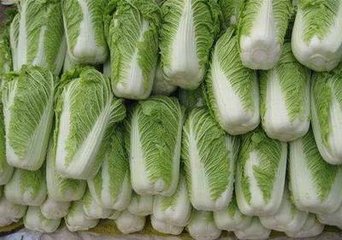 �ײ���߮a(ch��n)��ӛס�@4��׷�ʣ��ײ��벻�߮a(ch��n)���y