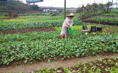 �߲˝�ˮ�r�g��׷�ʷ���