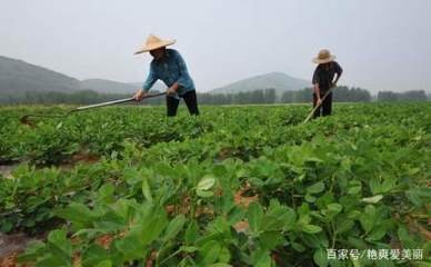 �Nһ���ػ����ö��ٵ׷ʣ�������ʲô�������׷ʺã�