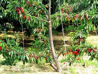 �������ȫ����ʩ��������e(cu��)�ˣ�