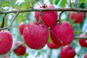 �O�����＾ʲô�r��ʩ�ʺã�