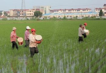 �＾ʩ�������׷���8��(g��)�e(cu��)�`��