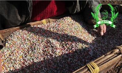 ���ʸ�ˮ��������Pϵ����