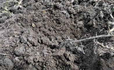 �ЙC(j��)�ʌ�(du��)������5������