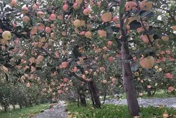 ������ʩ�����ˣ�����ҲҪ��ʩ