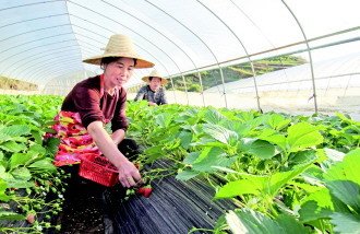 �����ݮ���������ʩ��