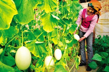 �������ʩ��Ҫ�c(di��n)�����׷��Ҳ������