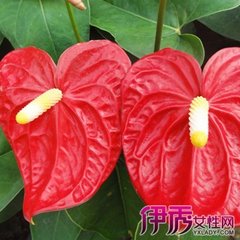 �t��ʩ��ע�����(xi��ng)